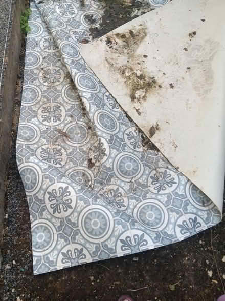Photo of free Linoleum 12 feet 12feet (Allington NG32) #1