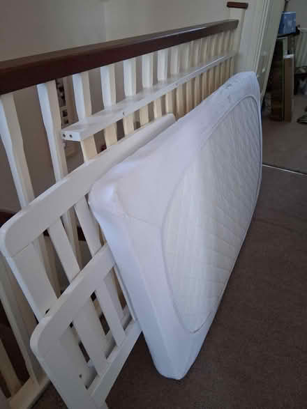 Photo of free Toddler bed (Marden TN12) #1