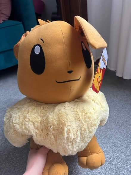 Photo of free Eevee (Pokemon) (W6 7HH) #1