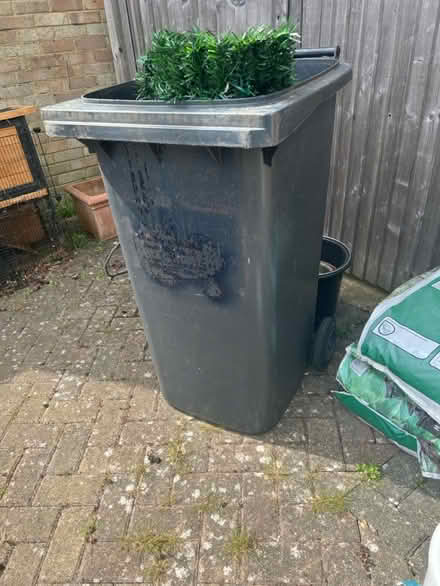 Photo of free Black bin no lid (Southborough) #1