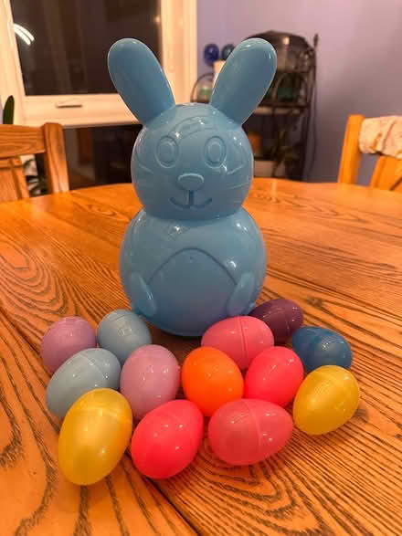 Photo of free Hollow Easter bunny + eggs (Beaverbrook) #2