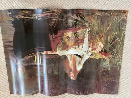 Photo of free The Lady of Shalott poster (Gillingham ME7) #1