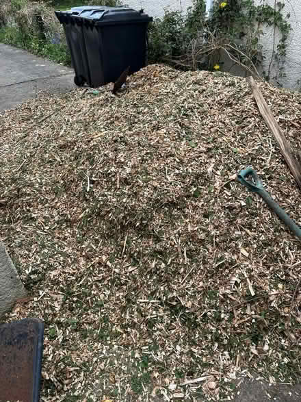 Photo of free Woodchip (Freeland OX29) #1