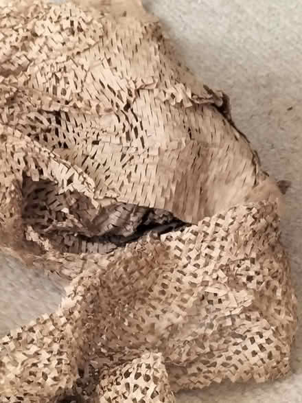 Photo of My cats love this paper (Harrogate HG2) #1