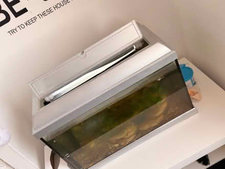 Photo of free Aquarium with small fishes (E18) #3