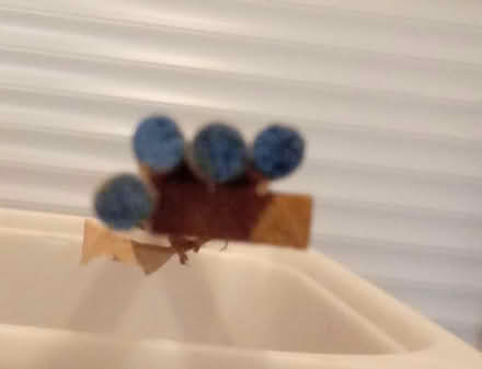 Photo of free Wood for Roman blinds (Horsham, near Bennetts Field) #1