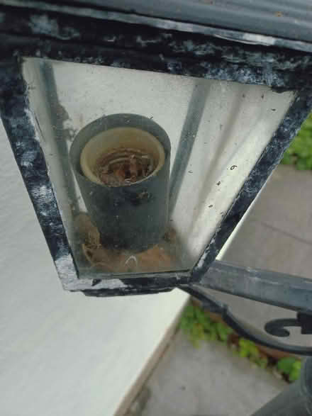 Photo of free Old style lantern ... (St George BS5) #4