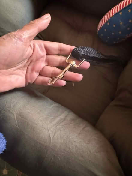 Photo of free Pet bed/ carrier/ car seat (NW10) #3