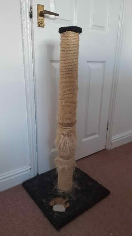Photo of free Used cat scratching post (Byfleet KT14) #1