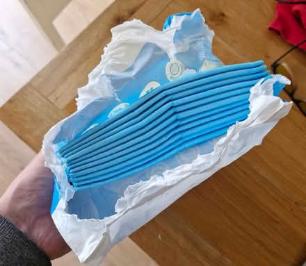 Photo of free 11x puppy/toddler training pads (Purleigh CM3) #2