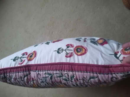 Photo of free Large cushions (Penrith CA11) #1