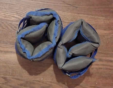 Photo of free assorted weight (Town of Poughkeepsie) #1