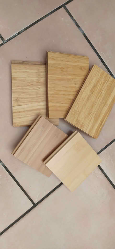 Photo of free Bamboo samples (Dereham NR19) #1