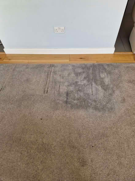 Photo of free Grey rug, large, 470x290 cm (Knebworth SG3) #1