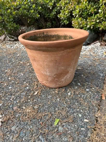 Photo of free Terracotta plant pot (Terra Linda) #1