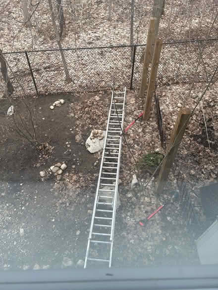 Photo of free Ladder metal (Central) #1