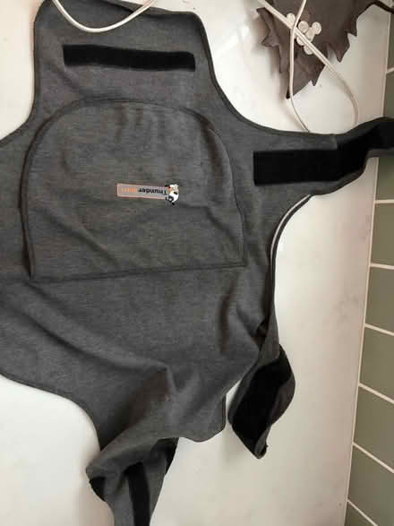 Photo of free Dog medium thundershirt (Spartan keyes) #1