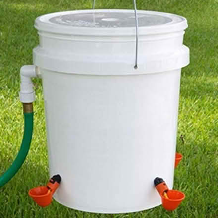 Photo of free Chicken Poultry Drinker Cups (TA14 6QW stoke sub hamdon) #3