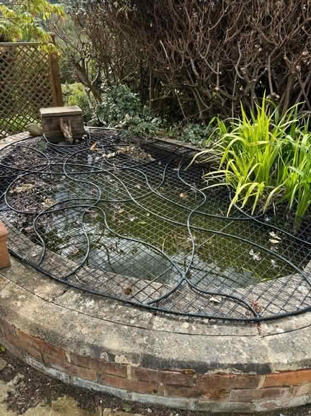 Photo of free Pond cover (Middleyard GL5) #2
