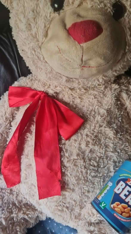 Photo of free Big Teddy bear 🧸 (Croydon, CR0) #2