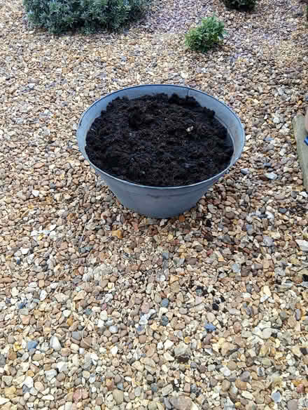 Photo of free Large strong metal planter (Heacham PE31) #2