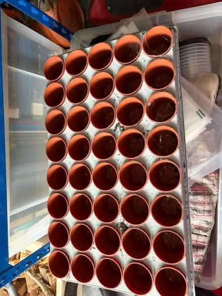Photo of free Mini pots for seedlings (Old Basing RG24) #1