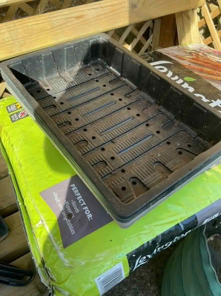 Photo of free Seed trays (Felpham .Bognor Regis PO22) #1