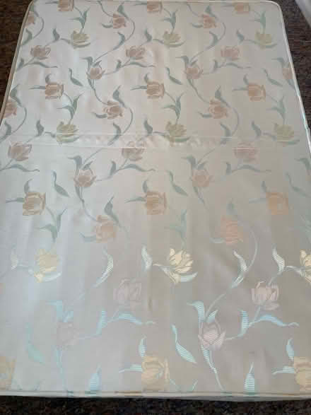 Photo of free Sealy Double Divan (Bickleigh near Tiverton) #3