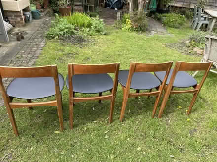 Photo of free Four mid century dining chairs (Wirksworth DE4) #2