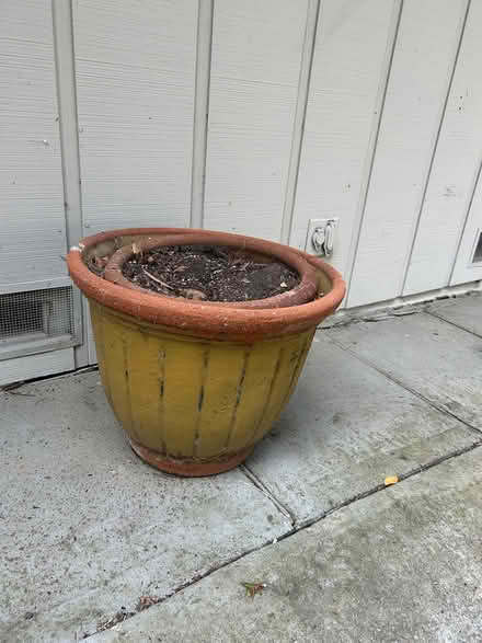 Photo of free Two large pots (Near summit vet/summit store) #1