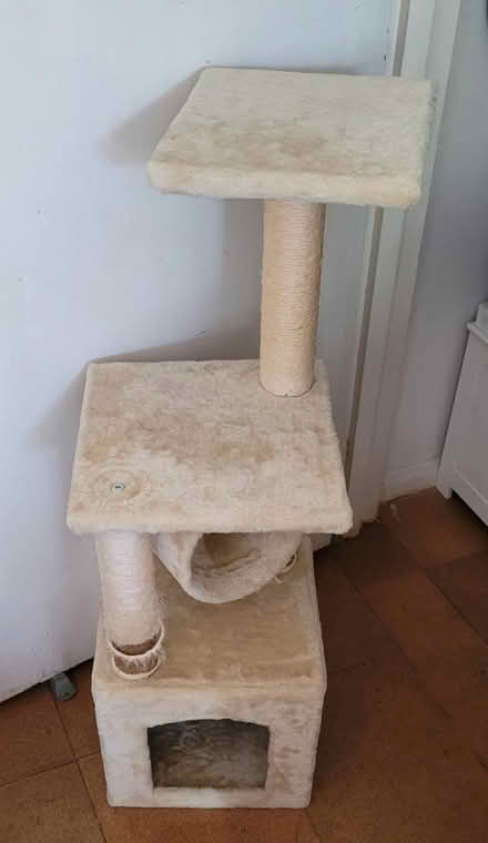 Photo of free Cat tree (Earl's Court) #1