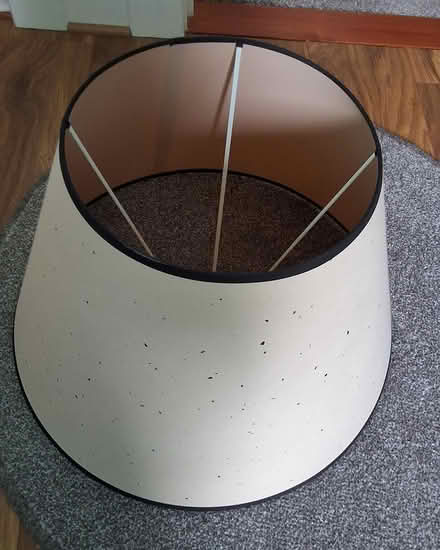 Photo of free Standard lampshade (East Kilbride G74) #1