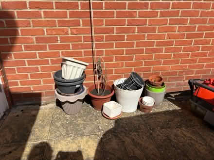 Photo of free Plant pots (Watford WD24) #1