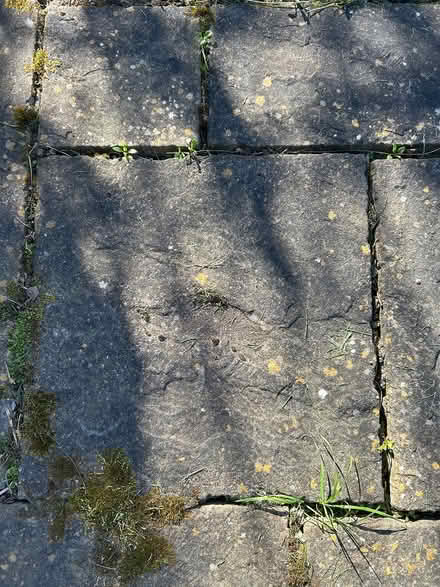 Photo of free Paving slabs (West Bridgford) #3