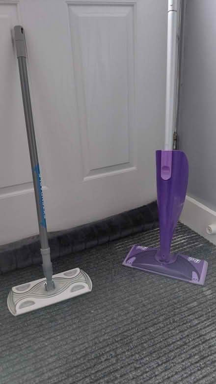 Photo of free Mops (Hellesdon, NR6) #1