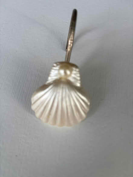 Photo of free Shower Hooks (Haymarket) #1