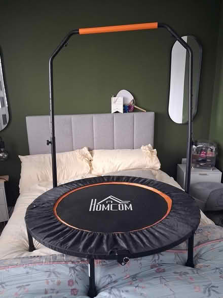 Photo of free 40 inch rebounding trampoline (Glengormley) #1