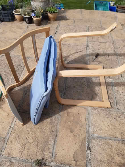 Photo of free Ikea Poang Chair (Great Mole Wood SG14) #1