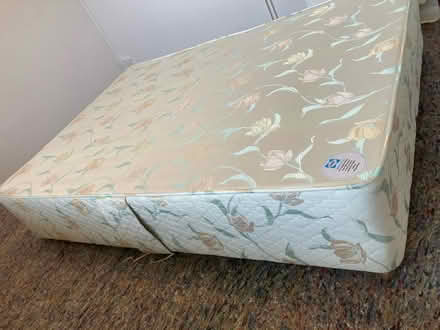 Photo of free Sealy Double Divan (Bickleigh near Tiverton) #2