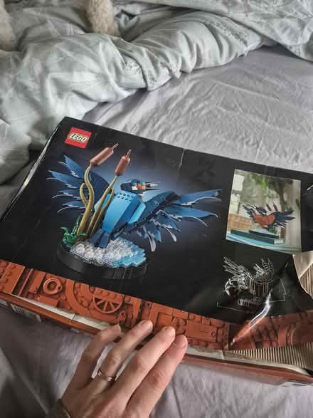 Photo of free Lego kingfisher (Roundhay LS8) #1