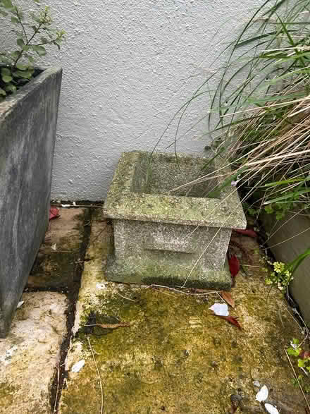 Photo of free Garden pots (Rathmines) #3