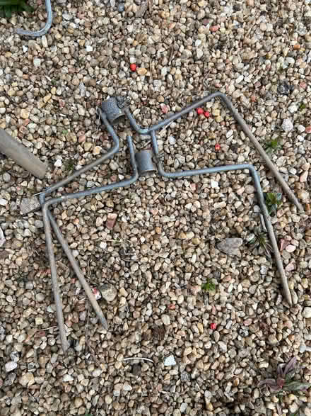 Photo of free Peckish Secret Garden Wild Bird Feeding Station (Clarkston G76) #3