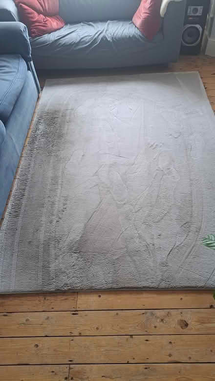 Photo of free Rug-Dunhelm-Mushroon Grey (Hornsey N8 London) #2