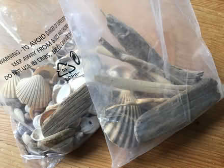Photo of free Shells and driftwood (Barnard's Green WR14) #1