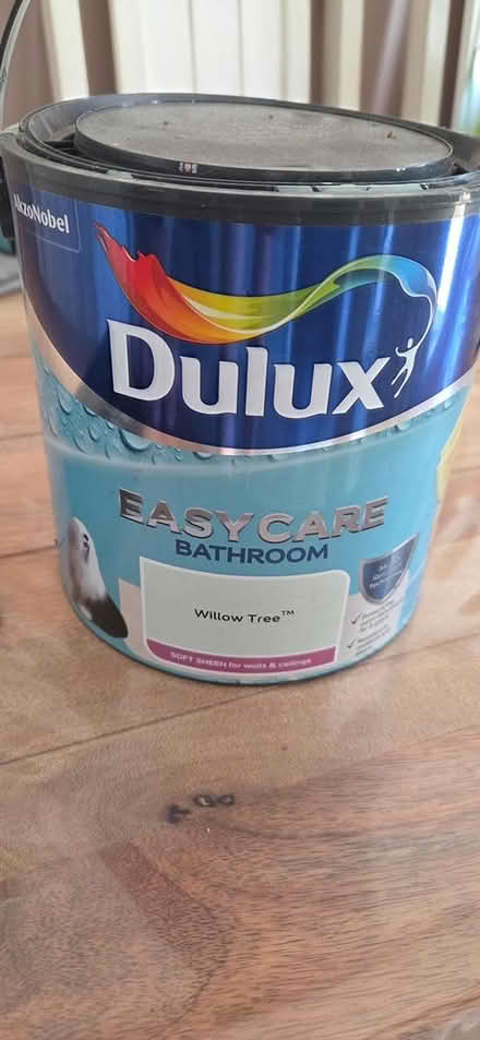 Photo of free Paint (Gillingham) #1