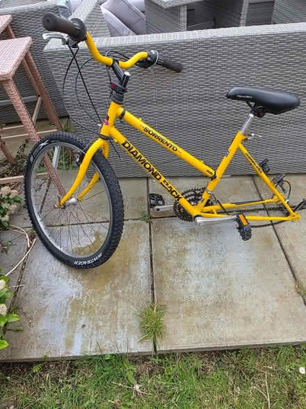 Photo of free Bike frames, misding reag wheels (Haddington EH41) #4