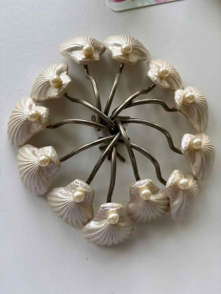 Photo of free Shower Hooks (Haymarket) #2