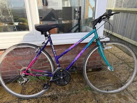 Photo of free Apollo Javelin Women's Bike (Hollingbury BN1) #1