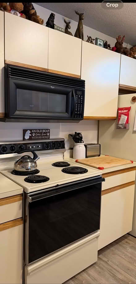 Photo of free Electric stove (North Conway) #1