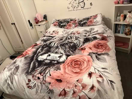 Photo of free Double Bed Set (Calcot RG31) #1